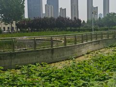-保定东湖公园(莲池区)