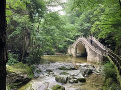 -牛背梁国家森林公园