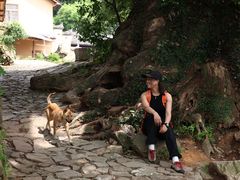 -杨家堂村
