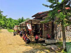 -千年银杏谷文化旅游区