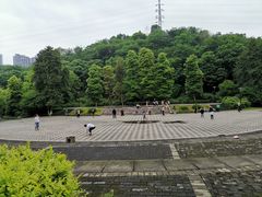 -重庆彩云湖湿地公园