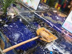 -79号渔船海鲜饭店(华强北店)