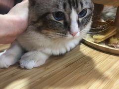 -白兔子密室(长寿路店)