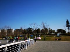 -上海山野camping·户外天幕烧烤·团建拓展营地