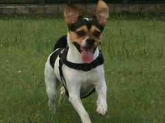 -宠颐生中康贝怡动物医院