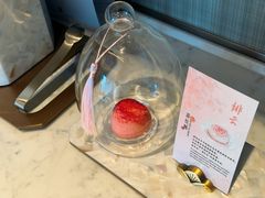 -深圳星河丽思卡尔顿酒店