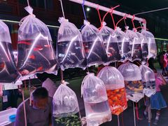 -华声天桥民俗文化园