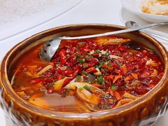 重庆毛血旺-宝燕壹号(徐汇店)