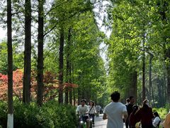 -昆山城市生态森林公园