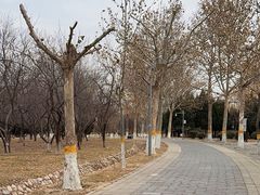 -东升八家郊野公园