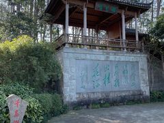 -千岛湖东南湖区