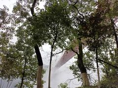 -矮寨·十八洞·德夯大峡谷景区