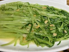 豆酱空心菜-潮中人·潮州菜(益乐路店)