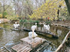 -济南野生动物世界