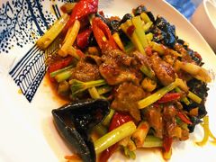 泡椒仔姜鲜牛肝-伊兰麒兰馨园·川菜·清真馆(339电视塔店)