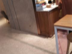 -COSTA COFFEE(静安嘉里中心店)