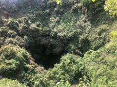 -海口火山口国家地质公园