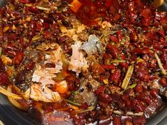 -锦尚阁烤鱼(望京新荟城店)