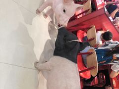 -猪角·闽南猪脚饭(上梅林店)