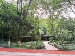 -龙头寺公园