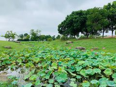 -滆湖低碳生态公园