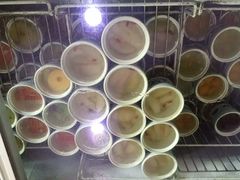 -龙老五汤店(站前西路店)