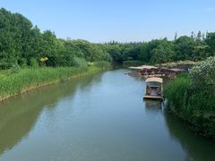 -上海长兴岛郊野公园