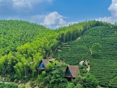 -长沙黑麋峰国家森林公园