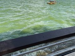 -呈贡滇池生态湿地公园