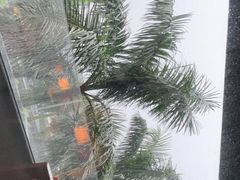 -三亚太阳湾柏悦酒店