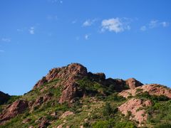 -红山国家森林公园