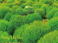 -映月湖中央公园