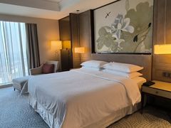 -上海嘉定喜来登酒店