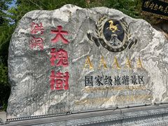 -大槐树寻根祭祖园