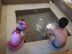 -中家鑫园温泉酒店鑫悦汤泉