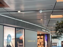 -樟宜机场免税店