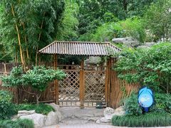 -静安公园(静安寺街道)