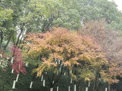 -龙头寺公园