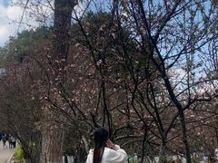 -昆明动物园