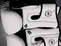 -TFC 纯泰拳馆MuayThai
