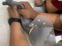 -美联众合动物医院·24h京西诊疗中心