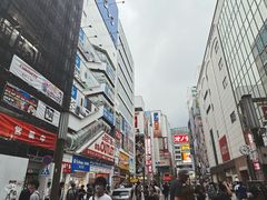 -秋叶原电器街