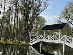 -上海共青森林公园