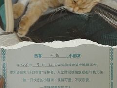 -美联众合动物医院·24h京西诊疗中心
