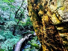 -牛背梁国家森林公园