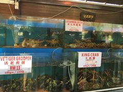 -真浪花园海鲜餐馆