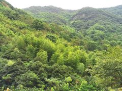 -宁波五龙潭景区