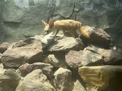 -广州长隆飞鸟乐园