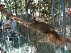 -萌宠亲子动物乐园(槐房万达店)