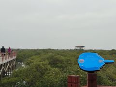 -北海金海湾红树林生态旅游区